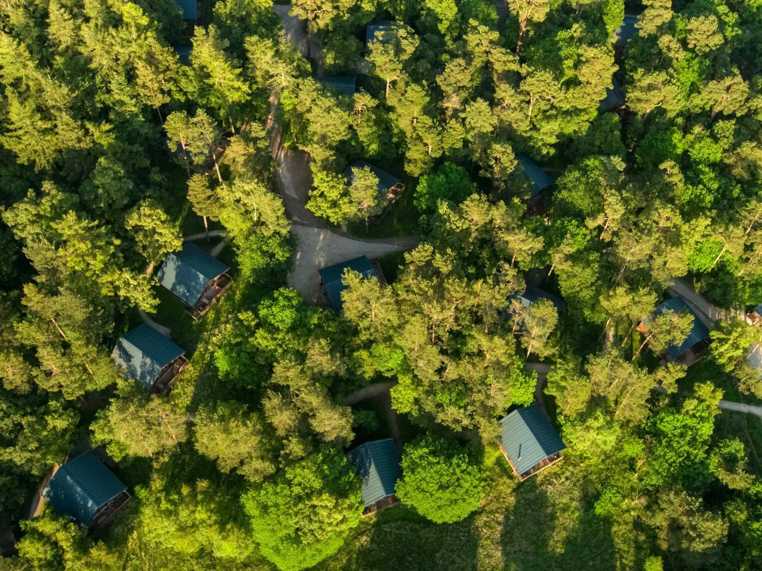 Keldy Forest Cabins - Forest Holidays Pickering Eksteriør bilde